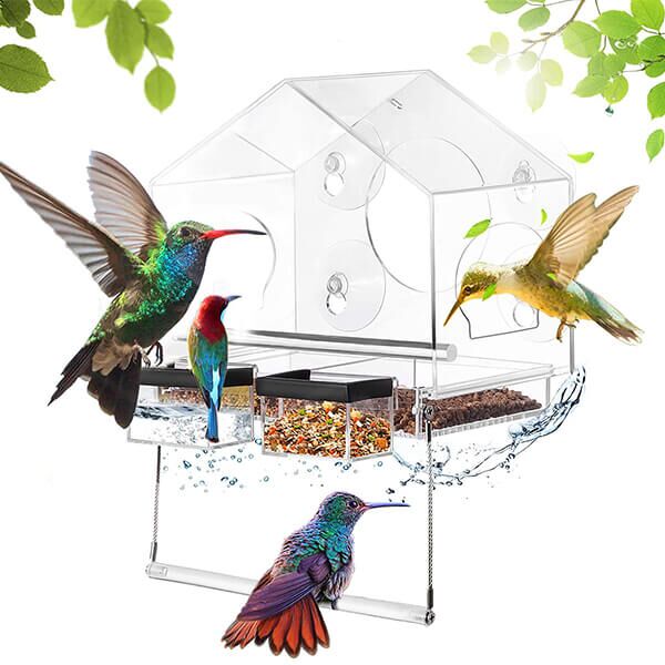 Mangeoire à Oiseaux Transparente en Acrylique - 3 Ventouses Puissantes -  Facile à Remplir et à Nettoyer