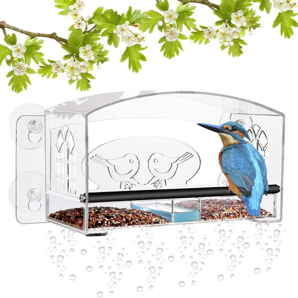 XYDZ 2PCS Mangeoire à Oiseaux Fenêtre, Mangeoire de fenêtre en Acrylique  avec Bac à Nourriture Amovible avec 3 Ventouses pour Mésanges, Moineaux et  Petits Oiseaux Sauvages : : Jardin