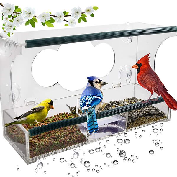 Mangeoire à oiseaux transparente à coller sur la fenêtre