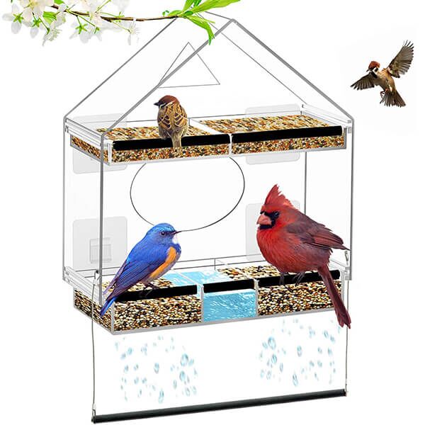 Mangeoire à Oiseaux Fenêtre Mangeoire à Oiseaux Amovible Ventouse