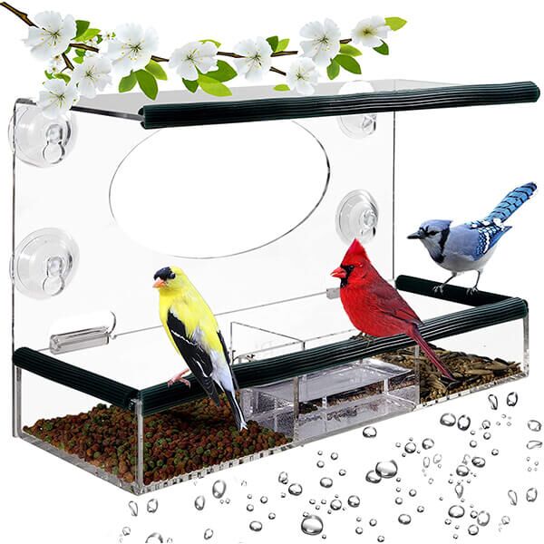⭐🏅Mangeoire oiseaux en acrylique avec fenêtre transparente - monchienchat